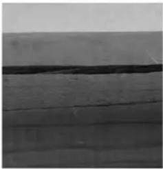 GRE 788032 - WOOD: A LIVING MATERIAL - 1