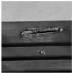 GRE 788032 - WOOD: A LIVING MATERIAL - 2