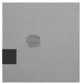 GRE 788032 - Mise en PLACE - 12