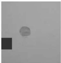 GRE 788031 - POSITIONING OF THE SEALING PIECES - 5