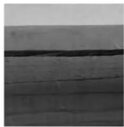 GRE 788031 - EN WOOD: A LIVING MATERIAL - 1