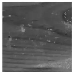 GRE 788031 - ES LA MADERA: UN MATERIAL VIVO - 5