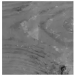 GRE 788031 - ES LA MADERA: UN MATERIAL VIVO - 3