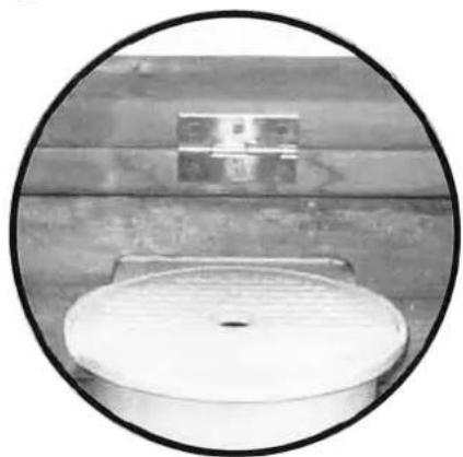 GRE 788031 - ES PLAYA ACCESO SKIMMER - 2