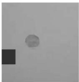 GRE 788033 - BUSE DE REFOULEMENT - 6