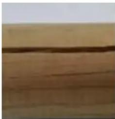 GRE 790096 - EN WOOD: A LIVING MATERIAL - 1
