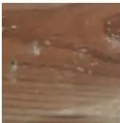 GRE 790096 - ES LA MADERA: UN MATERIAL VIVO - 5