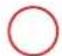 GRE 7900872 - SYLVESTER PINE TREATED IN AUTOCLAVE - 1