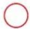 GRE 7900872 - SYLVESTER PINE TREATED IN AUTOCLAVE - 7