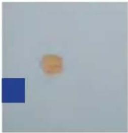 GRE 7900872 - UITSTROOMMONDSTUK - 6