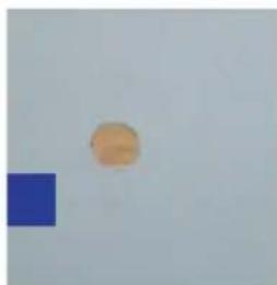 GRE 7900892 - SKIMMER - 15