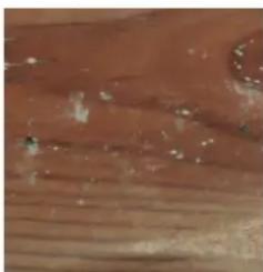GRE 7900892 - ES LA MADERA: UN MATERIAL VIVO - 5