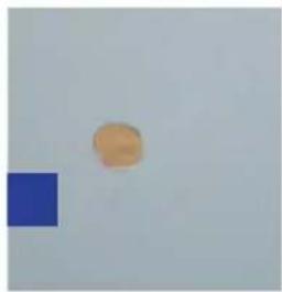 GRE 7900892 - UITSTROOMMONDSTUK - 5