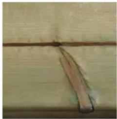 GRE 7900892 - ES LA MADERA: UN MATERIAL VIVO - 2