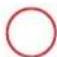 GRE KPBRC620 - SYLVESTER PINE TREATED IN AUTOCLAVE - 3