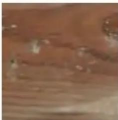 GRE KPBRC620 - ES LA MADERA: UN MATERIAL VIVO - 5