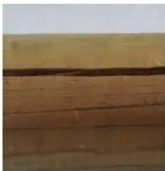 GRE 790000 - EN WOOD: A LIVING MATERIAL - 1