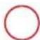 GRE 790000 - SYLVESTER PINE TREATED IN AUTOCLAVE - 1