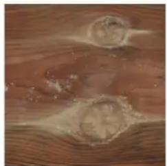 GRE 790000 - ES LA MADERA: UN MATERIAL VIVO - 6