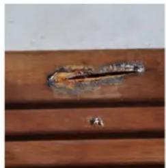 GRE 790000 - ES LA MADERA: UN MATERIAL VIVO - 1