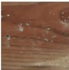 GRE 790000 - ES LA MADERA: UN MATERIAL VIVO - 5