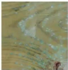 GRE 790000 - ES LA MADERA: UN MATERIAL VIVO - 3