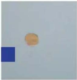 GRE 7900862 - UITSTROOMMONDSTUK - 5