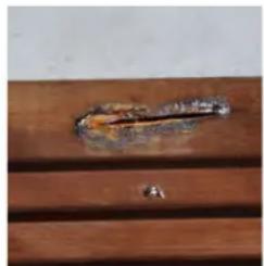 GRE 7900862 - ES LA MADERA: UN MATERIAL VIVO - 1
