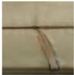 GRE 790302 - WOOD: A LIVING MATERIAL - 3
