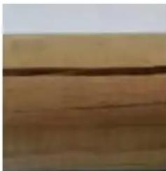 GRE 790202 - EN WOOD: A LIVING MATERIAL - 1