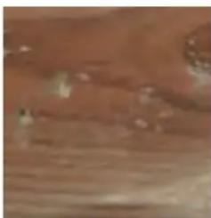 GRE 800008 - ES LA MADERA: UN MATERIAL VIVO - 5