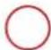 GRE 800008 - SYLVESTER PINE TREATED IN AUTOCLAVE - 1