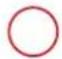 GRE 800008 - SYLVESTER PINE TREATED IN AUTOCLAVE - 25