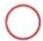 GRE 800008 - SYLVESTER PINE TREATED IN AUTOCLAVE - 19