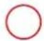 GRE 800008 - SYLVESTER PINE TREATED IN AUTOCLAVE - 7