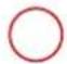 GRE 800008 - SYLVESTER PINE TREATED IN AUTOCLAVE - 13
