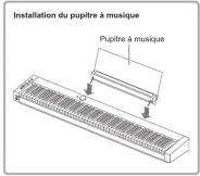 CASIO Privia PXS7000 - Guide général - 7
