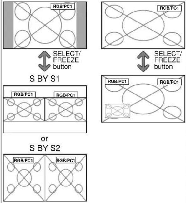 NEC PlasmaSync 50XM5 - PIC FREEZE settings - 1