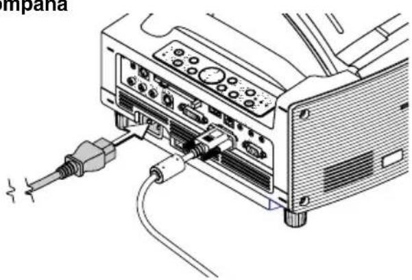 NEC WT600 - Conexiones - 2