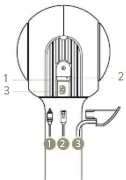 DEVIALET Tree - 8 - 2