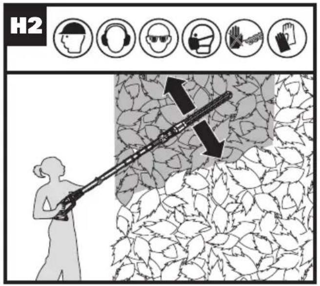 H2