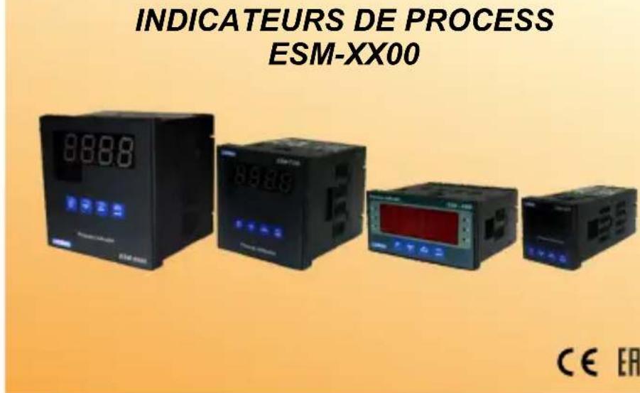 Emko ESM4400 - ESM-XX00 indicateurs de process - 1