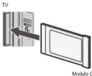 TV Modulo C