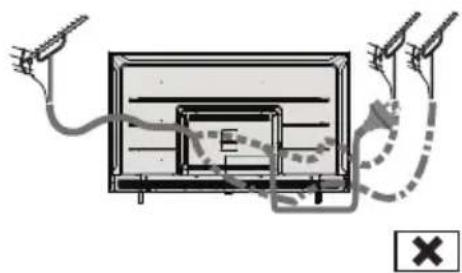 PANASONIC TX43LXW704 - Entrée d'antenne - 1