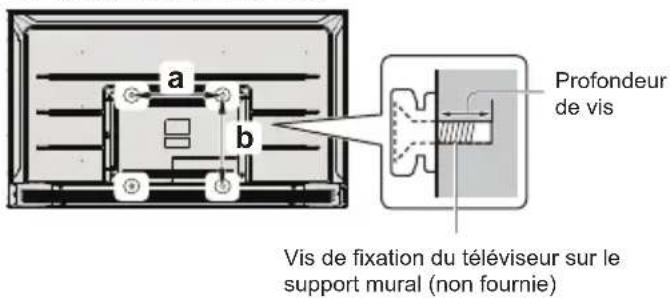 a b Profondeur de vis Vis de fixation du téléviseur sur le support mural (non fournie)