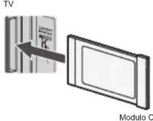 IV Modulo C