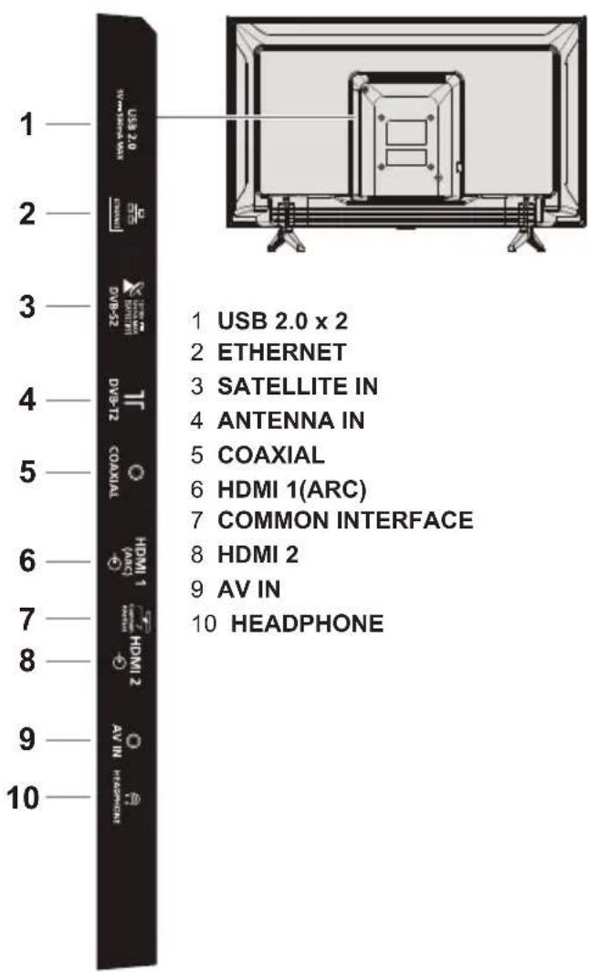 PANASONIC TX32LSW504 - Terminals - 1
