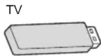 PANASONIC TX32LSW504 - Inserting / Removing the USB Flash Memory - 1