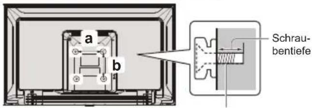 PANASONIC TX32LSW504 - Wandmontage des Fernsehgeräts (optional) - 1
