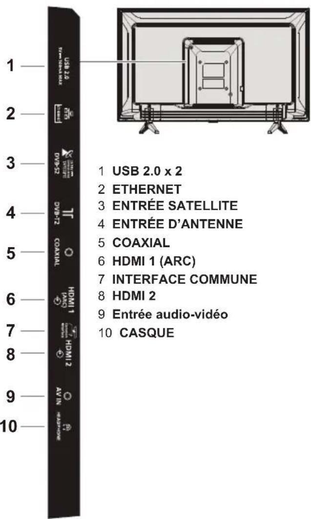 PANASONIC TX32LSW504 - Prises de branchement - 1